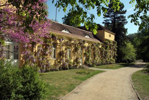 auswahl_potsdam06.jpg